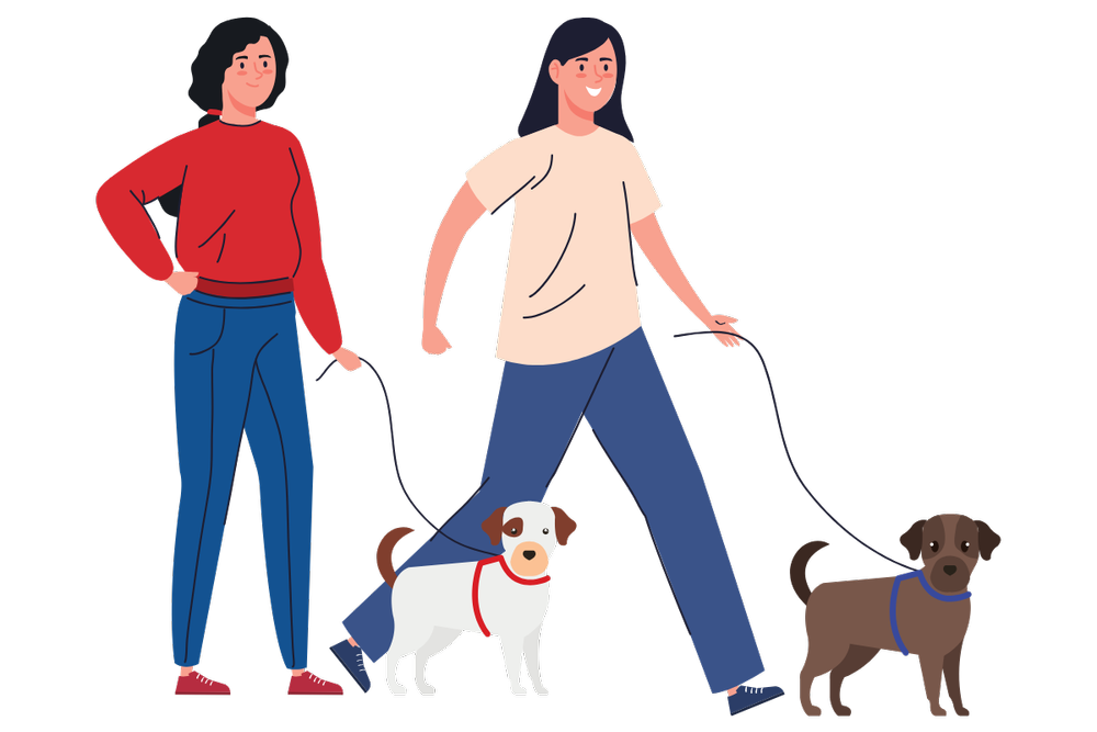 Illustration of two people walking their dogs together