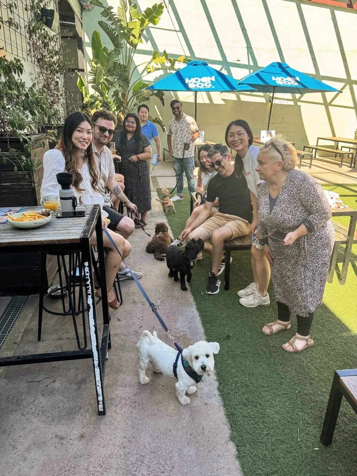 Pawshare Club members and their dogs gathered on a cafe patio