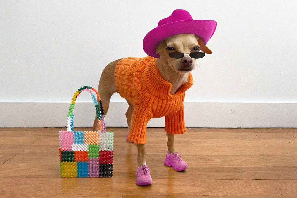 A small dog wearing an orange jumper, pink hat and boots beside a colourful handbag