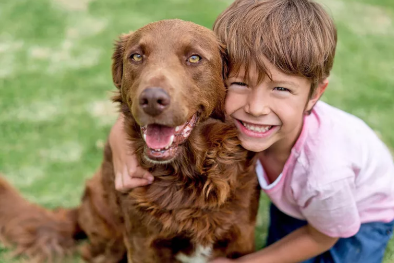 A child hugging a brown dog on the grass
