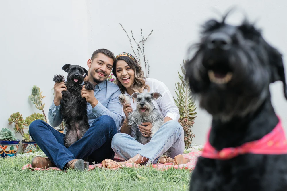 Two women sitting on grass with dogs, with a black dog in the foreground