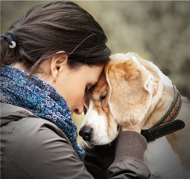 A woman touching her forehead to a dog’s head