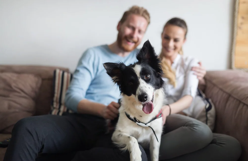 Two people seated on a sofa with a black-and-white dog between them