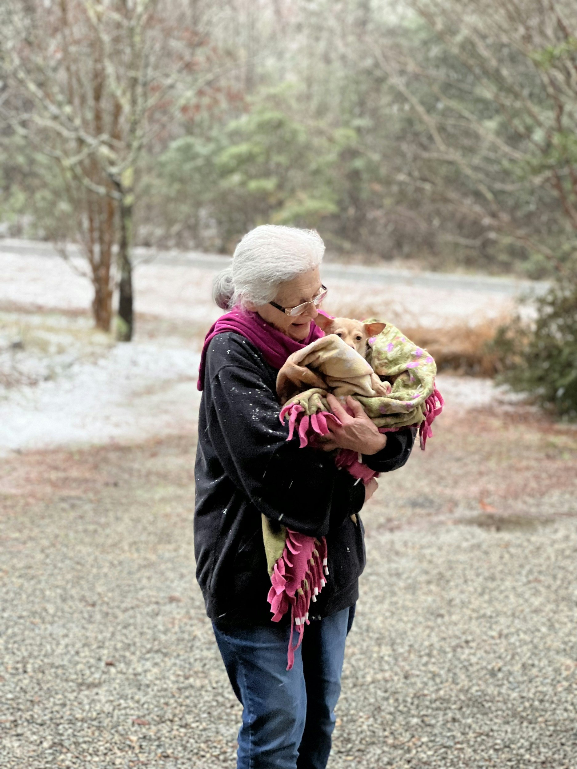 An older person hugging a small dog outdoors