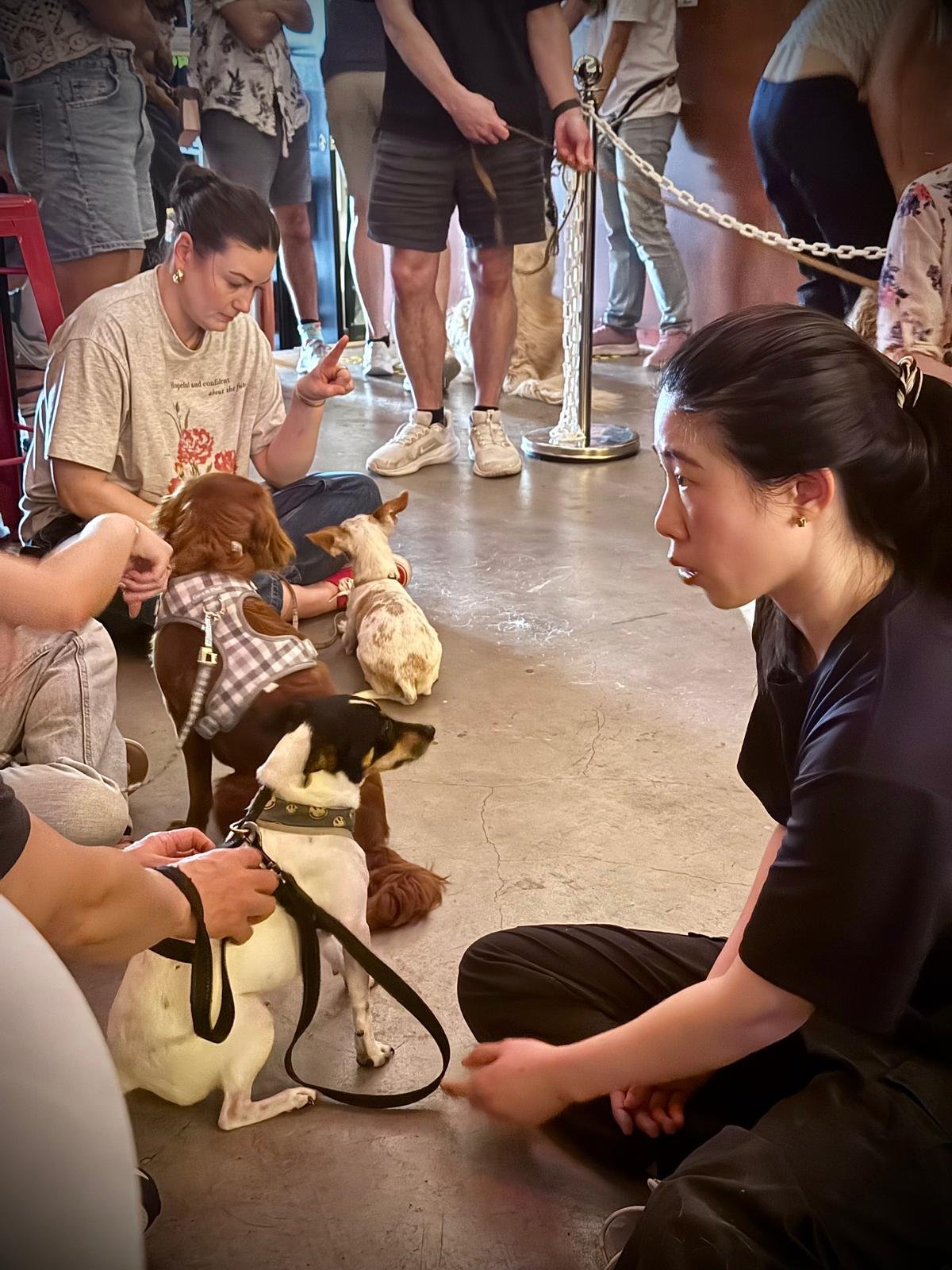 People gathered with their dogs inside a cafe