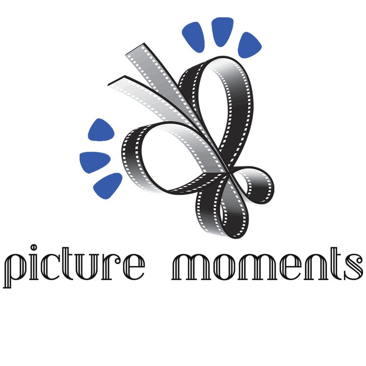 Picture Moments logo