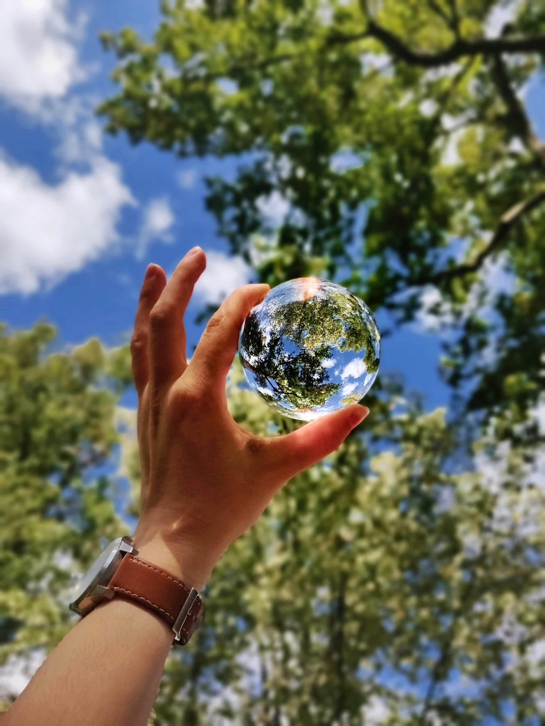 A hand holding a clear glass sphere against green trees and blue sky