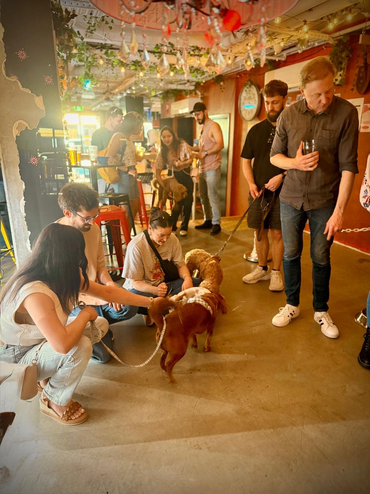 People greeting dogs inside a cafe at a Pawshare Club gathering